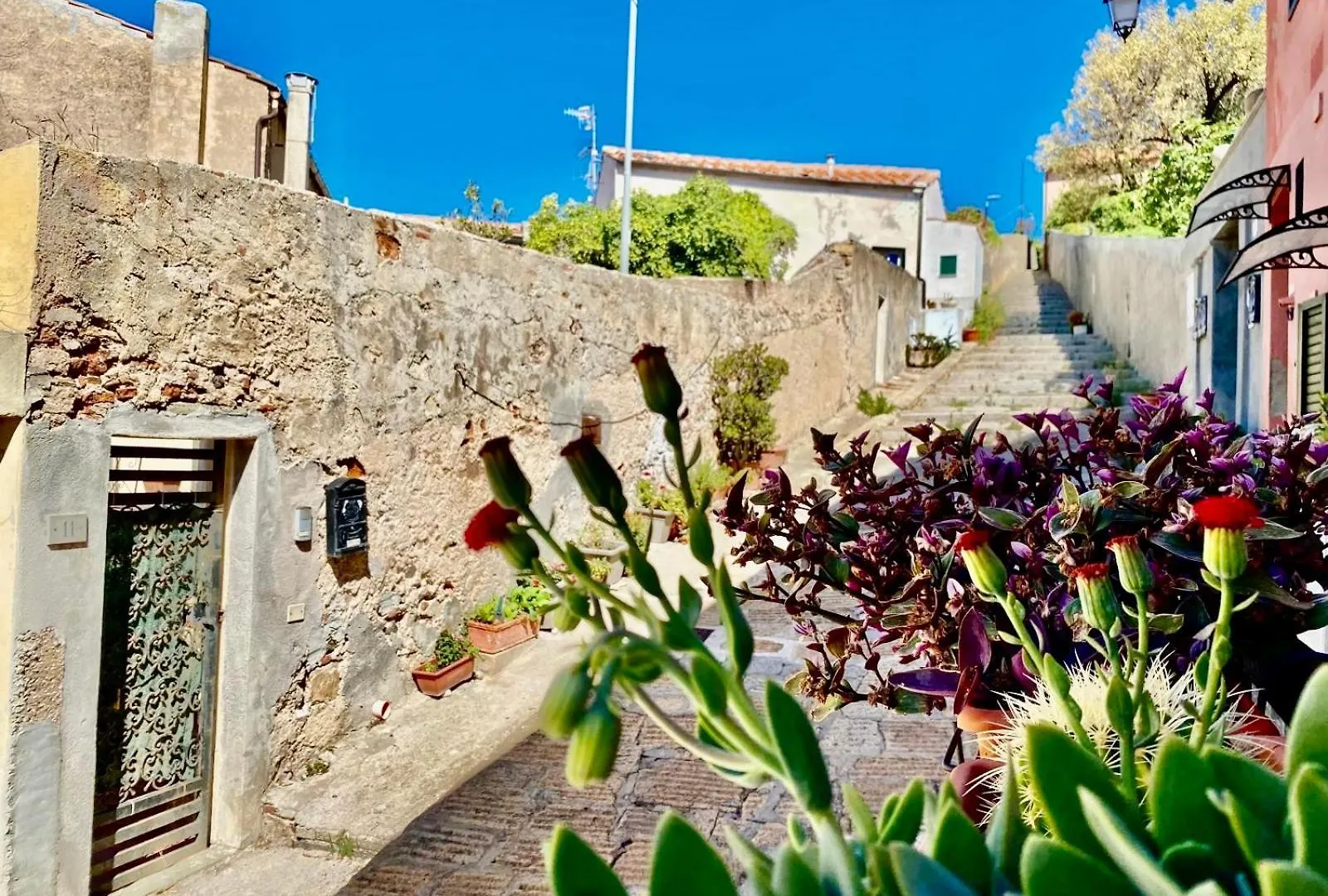 Apartment La Cartomante Di Bonaparte Portoferraio Italy